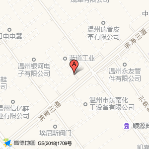 温州市蓝道工业发展有限公司内部地面停车场(出入口)