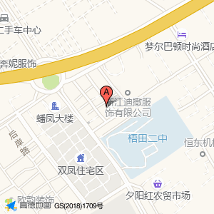 汽车电子