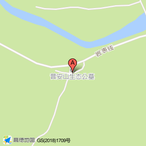 地面停车场