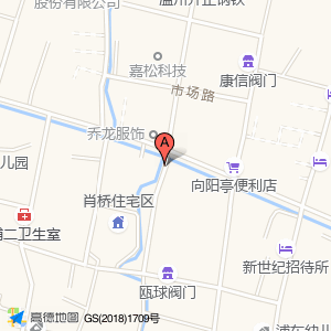 浦东大桥