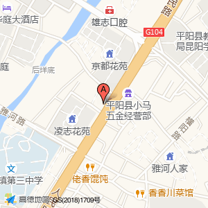 停车场(平阳县就业管理服务处东)