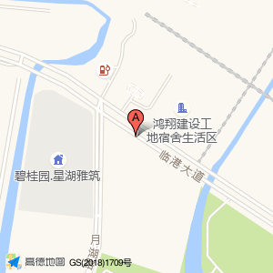 临港大道(公交站)